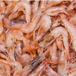 Great Value Shrimp Alert: FDA Warns Of Potential Radioactive Contamination
