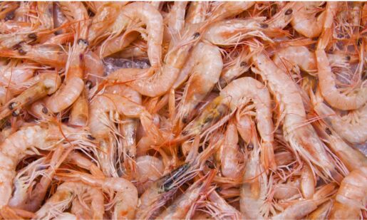 Great Value Shrimp Alert: FDA Warns Of Potential Radioactive Contamination