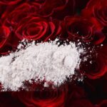 Petals And Peril: CBP Foils Nearly $8M Meth Plot In Rose Cargo
