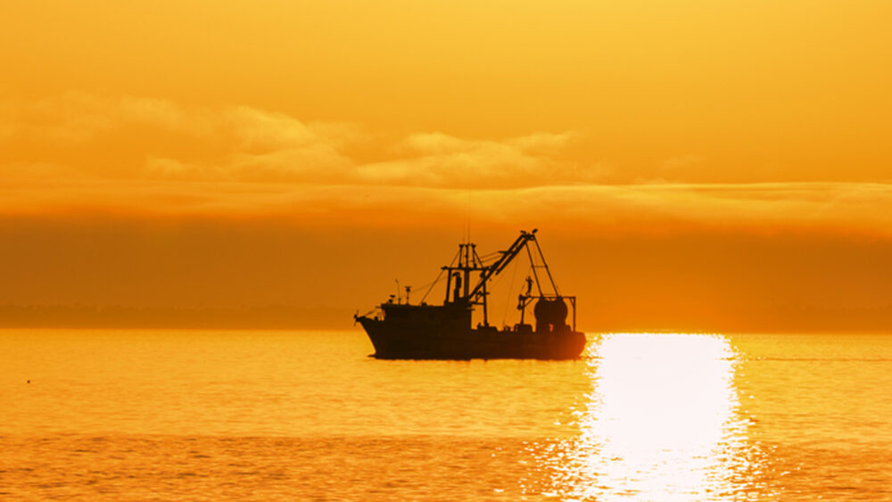 Trump’s Tariffs Defend Texas Shrimpers From Foreign Dumping, Globalist Subsidies