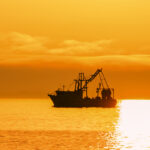 Trump’s Tariffs Defend Texas Shrimpers From Foreign Dumping, Globalist Subsidies