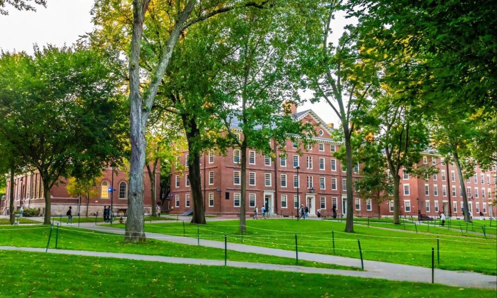 Harvard’s DEI Facade Cracks: Performative Politics Meets Real-World Backlash