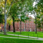 Harvard’s DEI Facade Cracks: Performative Politics Meets Real-World Backlash