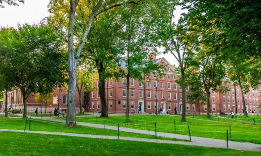 Harvard’s DEI Facade Cracks: Performative Politics Meets Real-World Backlash