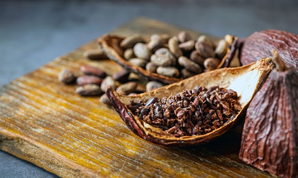Can Cocoa Extract Slow Chronic Inflammation On Older Adults?