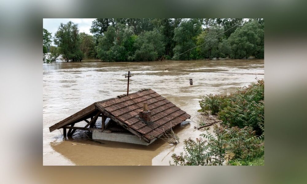 Texas Launches Disaster Data Portal To Improve Flood Preparedness