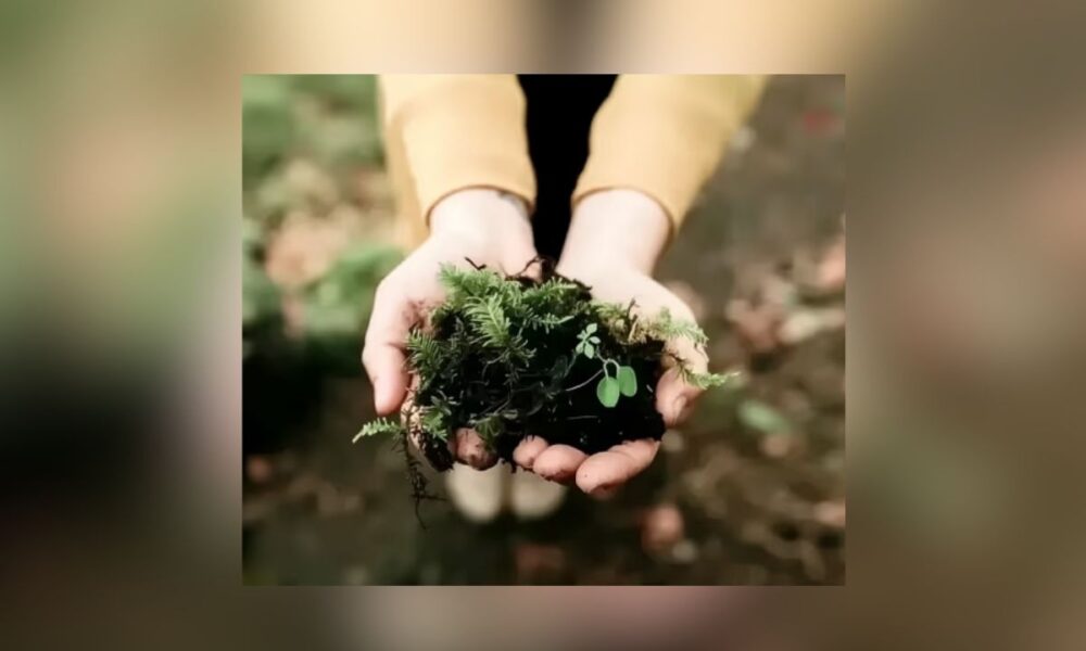 Texans Are Turning To Body Composting: Here’s Why