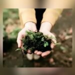 Texans Are Turning To Body Composting: Here’s Why