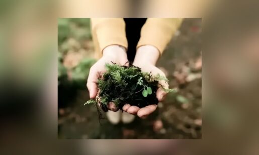 Texans Are Turning To Body Composting: Here’s Why