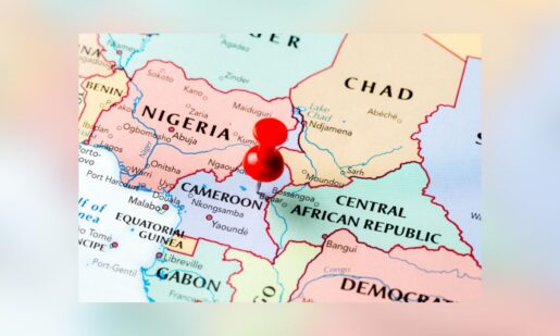 Minnesota Men Charged With Funding Cameroon Terror Attacks From U.S.
