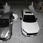 Surveillance Footage Shows Suspect In String Of Collin County Car Burglaries