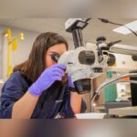 From DNA To Justice: Texas DPS Honors Crime Lab’s Vital Role In Solving Crimes Statewide