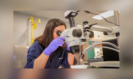 From DNA To Justice: Texas DPS Honors Crime Lab’s Vital Role In Solving Crimes Statewide
