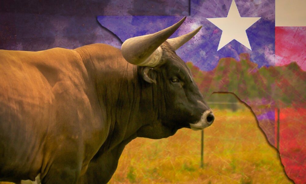 From IPOs To Global Banks: Texas Solidifies Its Spot As A Financial Powerhouse