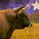 From IPOs To Global Banks: Texas Solidifies Its Spot As A Financial Powerhouse