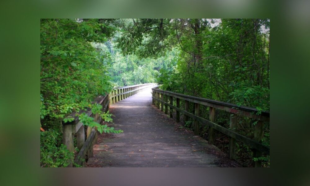 Texas Bicentennial Trail: 200-Mile Alamo-To-Capitol Path Announced