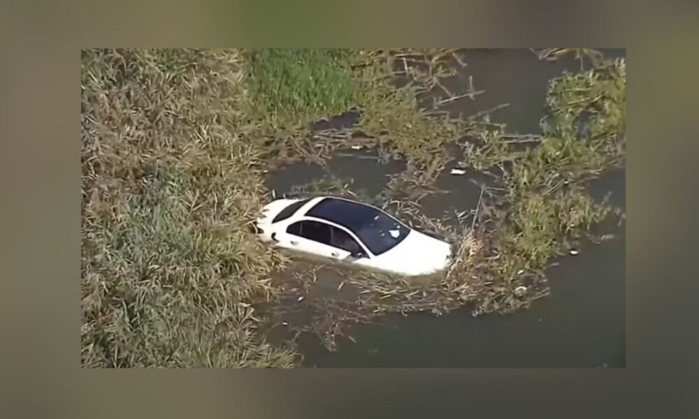 Learning To Drive With Kids Along? Nanny Sinks Three Kids And Mom In Lake Ray Hubbard