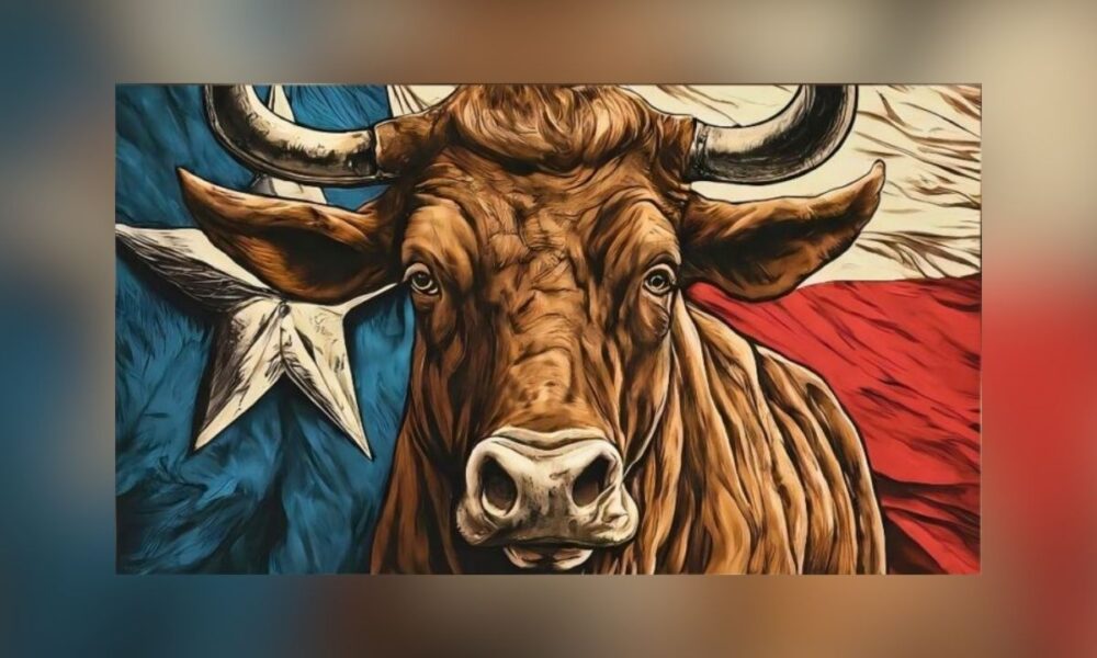 Y’all Street’ Grows: Texas Stock Exchange Raises $63M In New Round