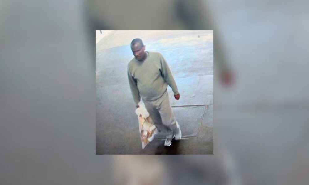 UK Police Recapture Asylum-Seeker Mistakenly Released From Prison After Sexual Assault Conviction