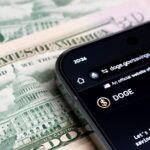 DOGE Axes $5.8B In Federal Contracts, Saves $397M Amid Shutdown