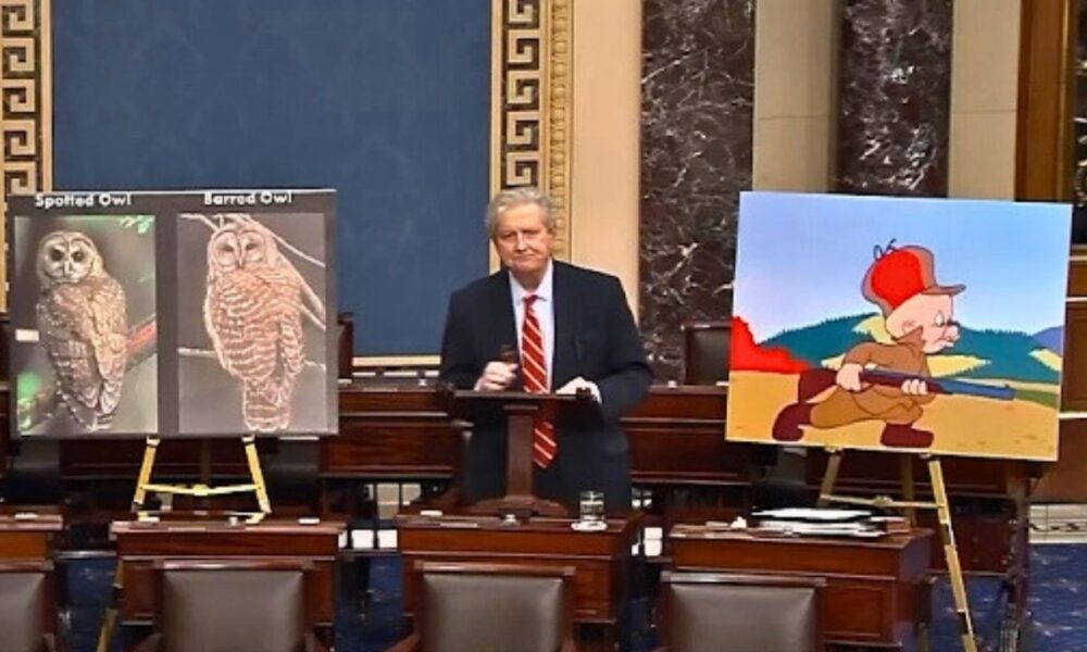 “Bone-Deep, Down-To-The-Marrow Stupid”: Senator Loses Fight Against Killing Owls