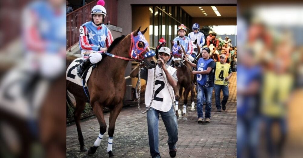 Texas Racing Commission Director Steps Aside