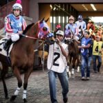 Texas Racing Commission Director Steps Aside