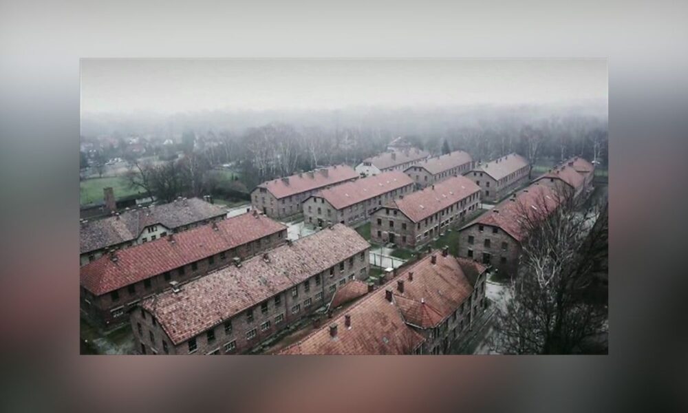 France Probes Elon Musk’s Grok AI For Holocaust Denial On X