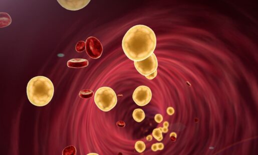 Study: CRISPR Cuts Cholesterol In Half With One Shot