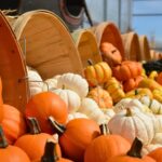 North Texas Dominates: Dallas #4, Irving #6, Plano #7 In National Thanksgiving List