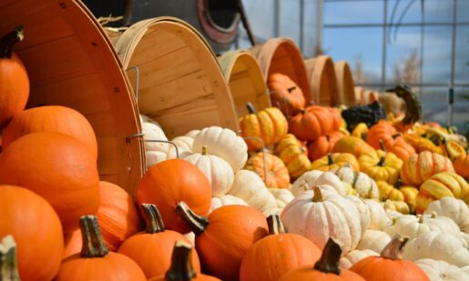 North Texas Dominates: Dallas #4, Irving #6, Plano #7 In National Thanksgiving List