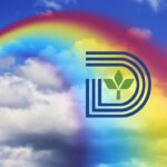 End Of The Rainbow For Dallas? Tolbert Tries To Evade Abbott’s Crosswalk Crackdown