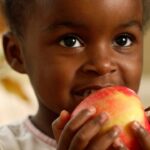 Court Orders vs. Empty Pantries: How Schools Are Bridging The SNAP Gap