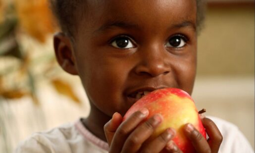 Court Orders vs. Empty Pantries: How Schools Are Bridging The SNAP Gap