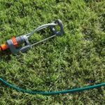 Fort Worth May Cut Water For Repeat Lawn-Watering Violators