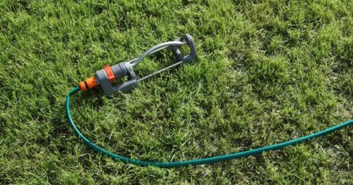 Fort Worth May Cut Water For Repeat Lawn-Watering Violators