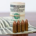 Minnesota Welfare Fraud Scheme Tied To Millions Sent To al-Shabaab