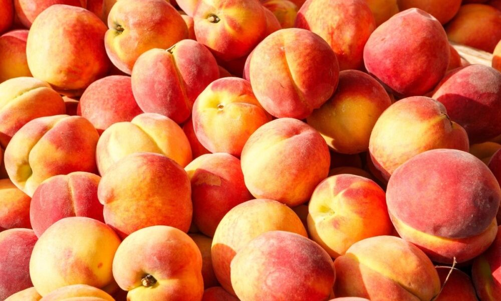 Peaches Recalled For Potential Listeria Contamination