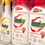 Roundup “Safe” Levels Kills More Than Weeds, Damages Sperm – CoQ10 Fights Back, Study Shows