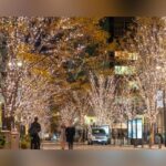State Troopers Join Local Police For Visible Presence During Texas Holiday Shopping Season