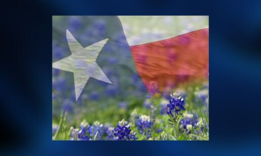 Texas Launches Awards Honoring Educators Promoting History And Patriotism