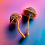 Survey: Approx. 12M U.S. Adults Used Psychedelics In The Past Year, Many Reporting Mental Health Benefits