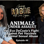 Veterinarian With 30 Years Experience Exposes Hidden Issues In Modern Animal Care