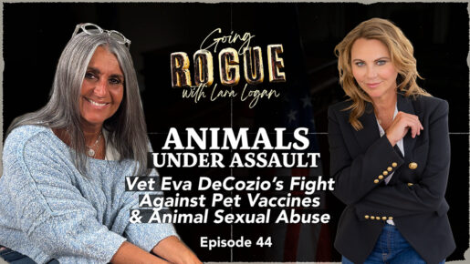 Veterinarian With 30 Years Experience Exposes Hidden Issues In Modern Animal Care