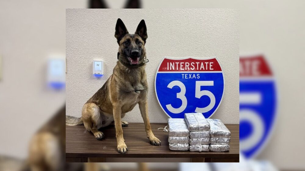 DPS K-9 Karma Finds 24 Pounds Of Suspected Fentanyl Near Baylor University