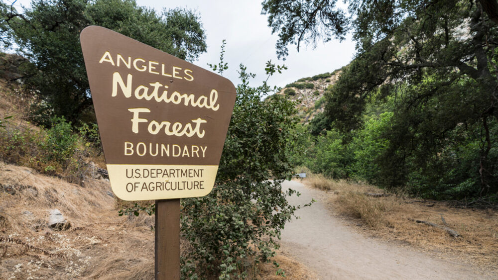 Five MS-13 Members Convicted Of Six Murders In Los Angeles County