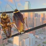 Stained In The City: Dead Roaches And Dirty Hands – Dallas’ Worst Health Inspection Scores Revealed