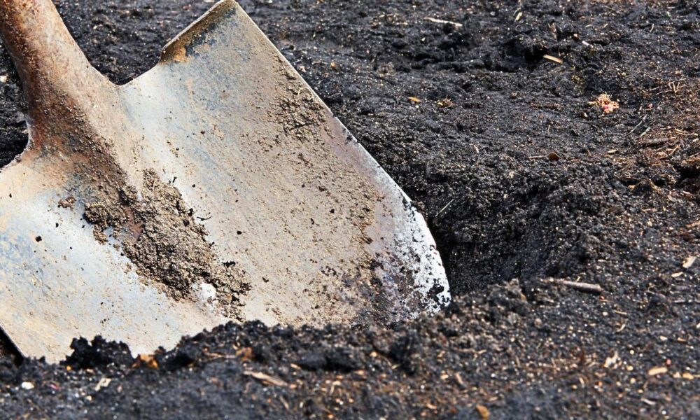 Human Remains Found Buried In Backyard: Denton Police Charge Don Edward Bullard Jr. With 2019 Murder