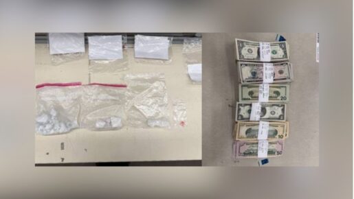 Dallas Traffic Stop Nets Nearly 500g Cocaine & Meth – Two Arrested