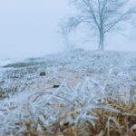 Dallas Jury awards $44.1M To Family Of Victim Killed In 2021 I-35 Ice Storm Pileup